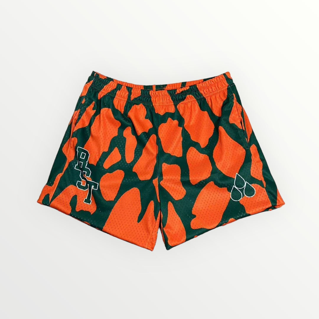 Miami Hurricanes Mesh Shorts
